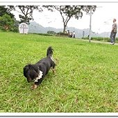 IMG_0211_nEO_IMG.jpg