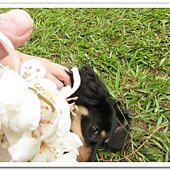 IMG_0200_nEO_IMG.jpg