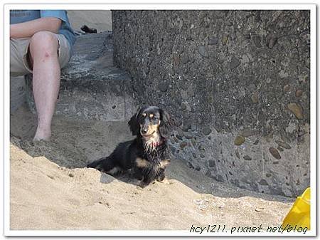 IMG_0081_nEO_IMG.jpg