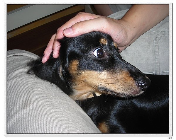 DSCN1118.JPG