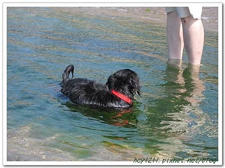 IMG_0092_nEO_IMG.jpg