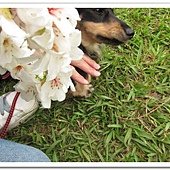IMG_0201_nEO_IMG.jpg