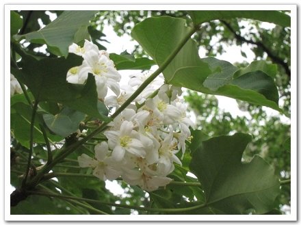 IMG_0170_nEO_IMG.jpg