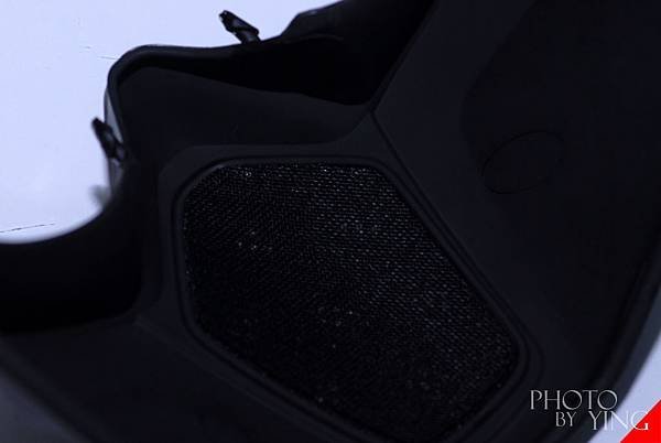 SHARK RAW_0015.JPG