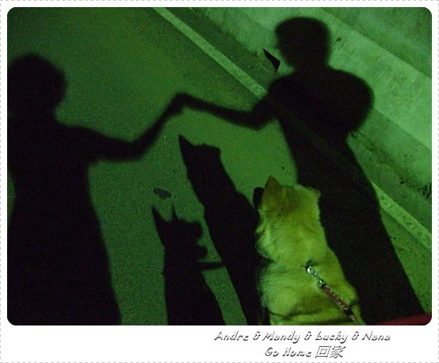 DSCF2930.JPG
