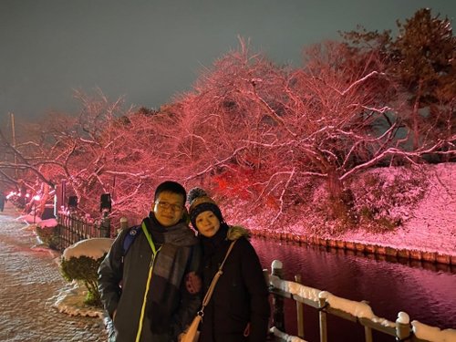 弘前城公園賞夜櫻(雪)