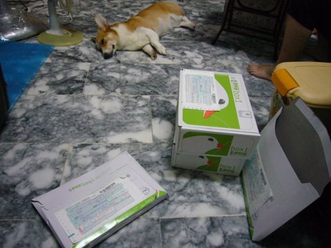 P1190786.JPG