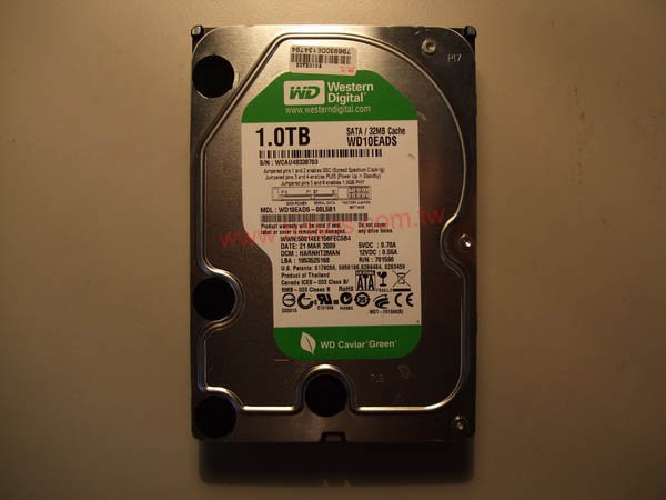 DSCF5513--03.jpg