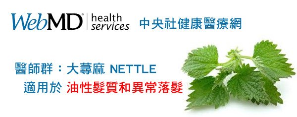 中央社醫療網-NETTLE大蕁麻有效治療異常落髮