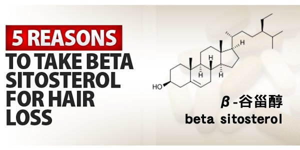 小護士教室 鋸棕櫚的活性成分：β-谷甾醇（beta-sitosterol）治療掉髮