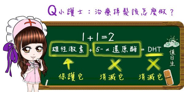 小護士教室 鋸棕櫚的活性成分：β-谷甾醇（beta-sitosterol）治療掉髮