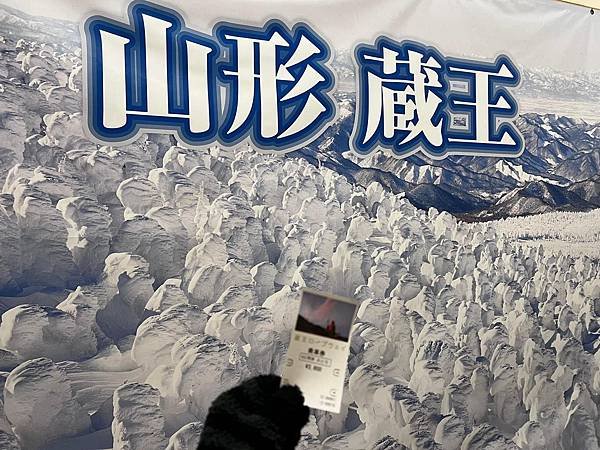 東8 上