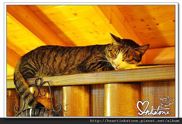 nEO_IMG_DSC_0241