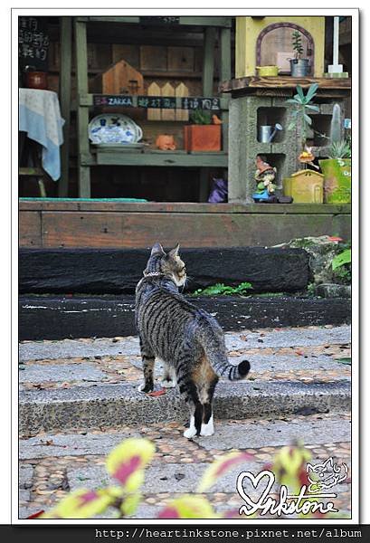 nEO_IMG_DSC_0401