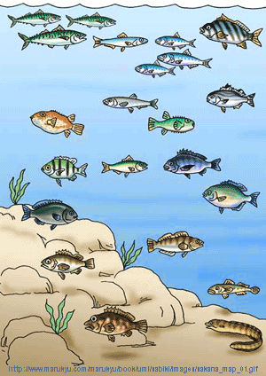 FISH2.gif