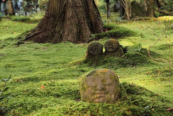 2011-京都之旅-三千院-躲起來的小沙彌-01.jpg