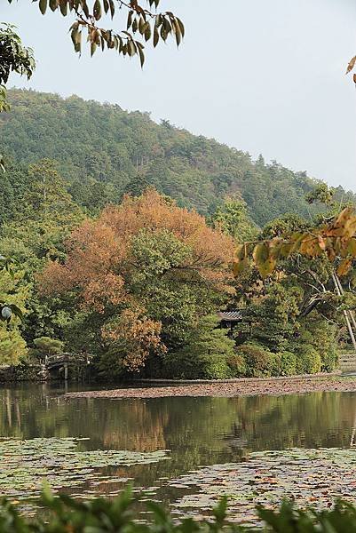 2011-京都之旅-第四天-龍安寺-01.jpg