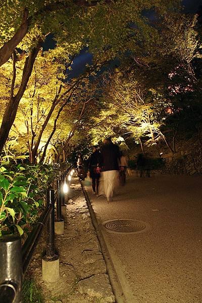 2011-京都之旅-第七天-夜訪清水寺-13.jpg