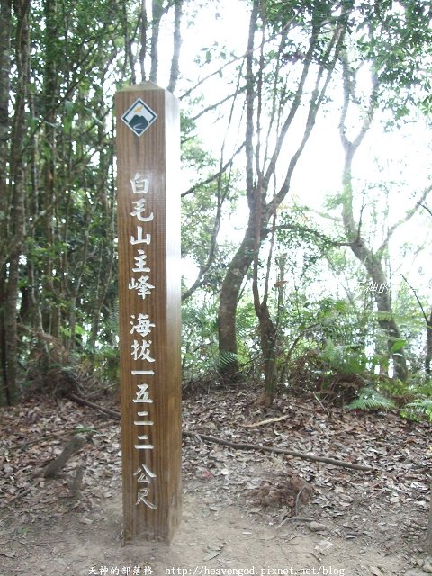 DSCF8646