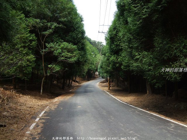 DSCF9173