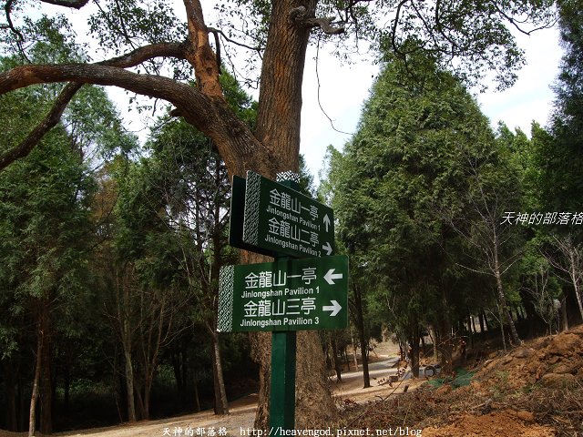 DSCF9175