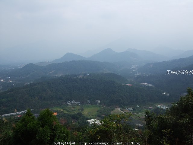 DSCF9181
