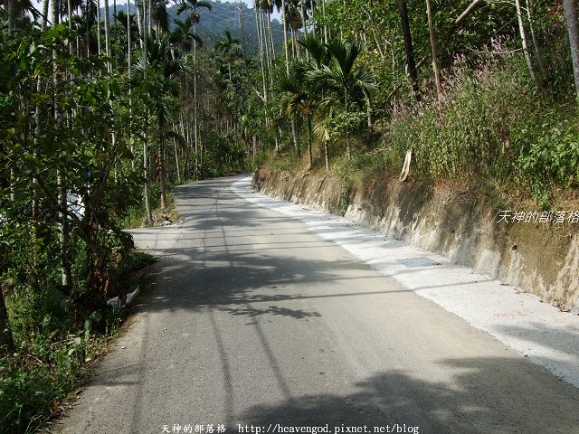 DSCF9204