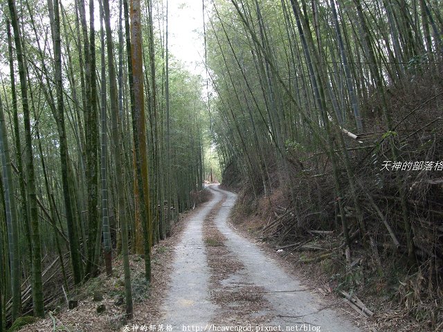 DSCF9209
