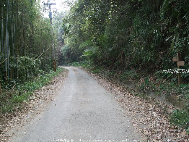 DSCF9240