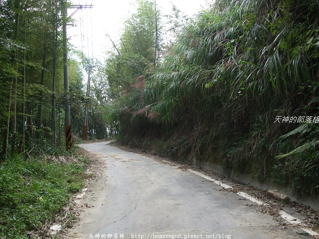 DSCF9242