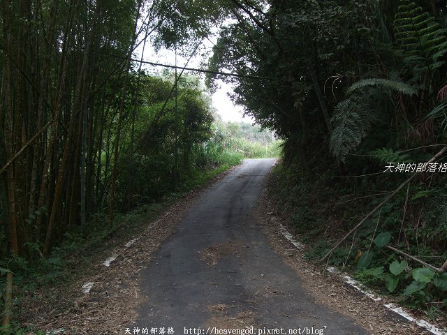 DSCF9249