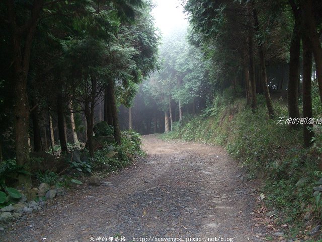 DSCF9520