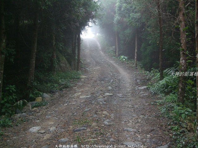 DSCF9522