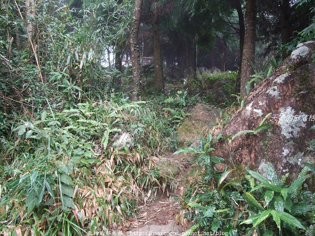 DSCF9527