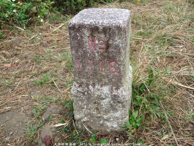 DSCF9533