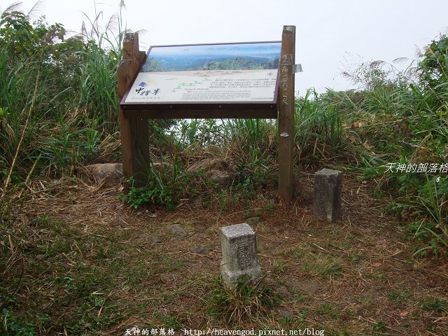 DSCF9538