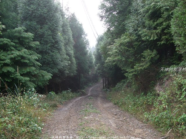 DSCF9546