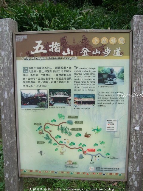 DSCF9553