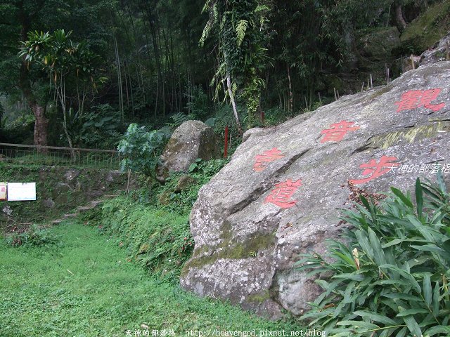 DSCF9563