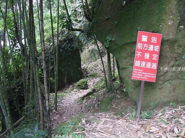 DSCF9564