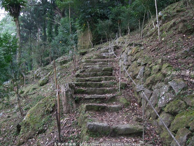 DSCF9566
