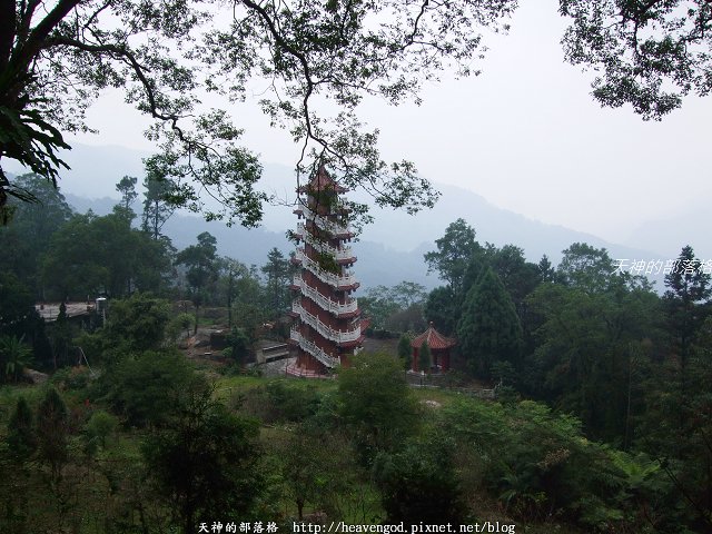 DSCF9567
