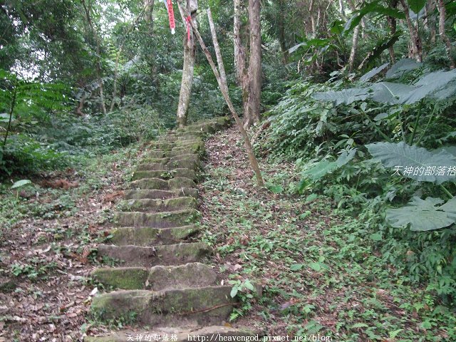DSCF9573