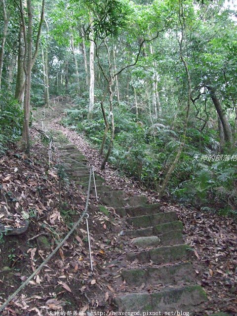 DSCF9575