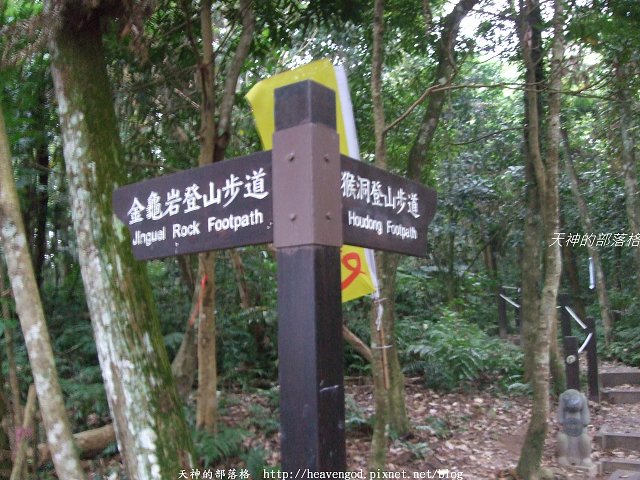 DSCF9579