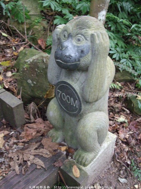 DSCF9590