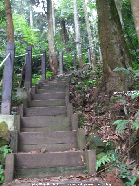 DSCF9595