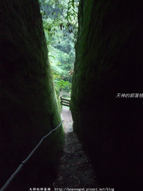 DSCF9635