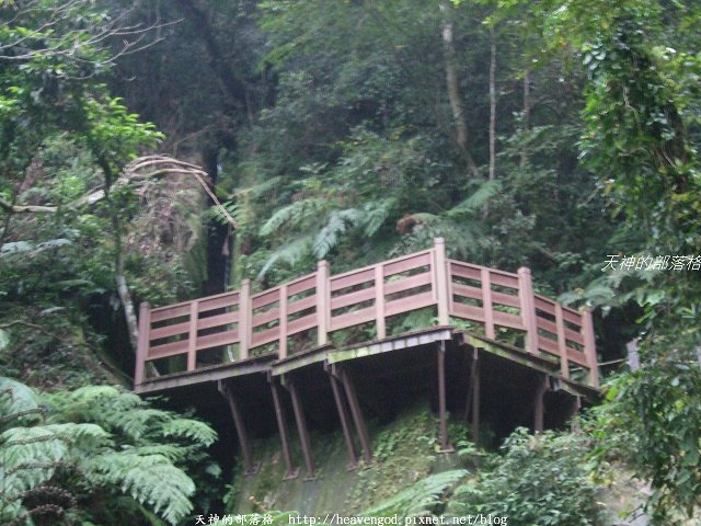 DSCF9643