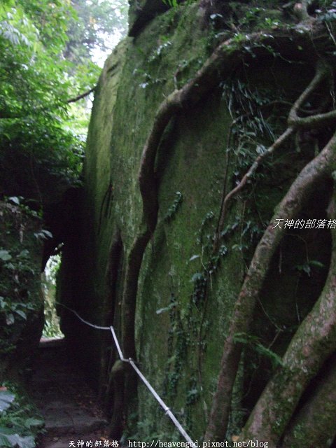 DSCF9647